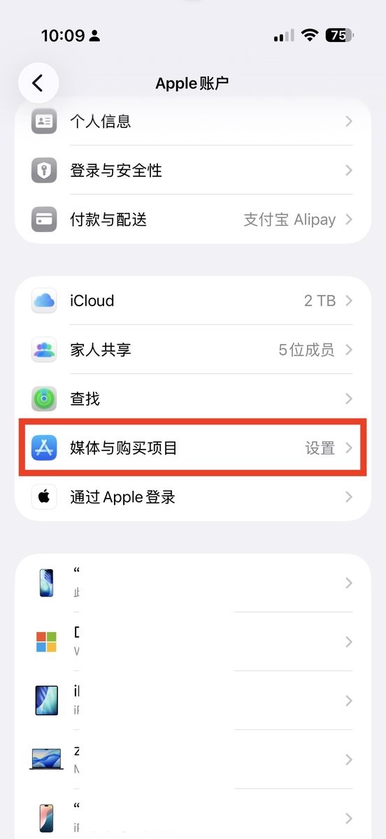 退出后重新点击媒体与购买项目设置
